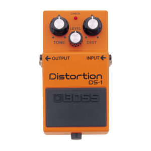 DS-1